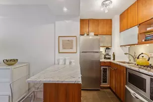 420 E 55th St, New York City, NY 10022 - Photo 3
