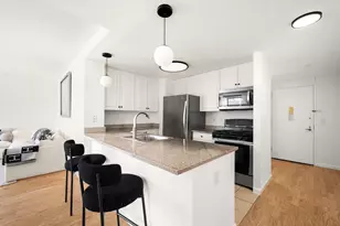 425 Main St, New York City, NY 10044 - Photo 3