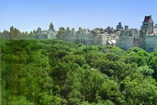 106 Central Park S, New York City, NY 10019 - Photo 11