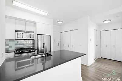 80 Dekalb Avenue #22D, New York City, NY 11201 - Photo 3