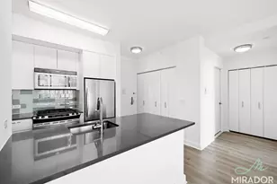 80 Dekalb Ave, New York City, NY 11201 - Photo 3