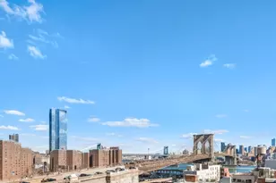 333 Pearl St, New York City, NY 10038 - Photo 5