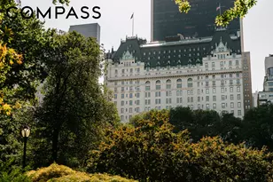 1 Central Park S, New York City, NY 10019 - Photo 33