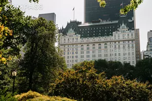 1 Central Park S, New York City, NY 10019 - Photo 25