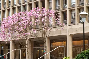 330 E 33rd St, New York City, NY 10016 - Photo 11