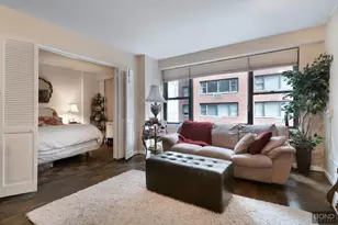 301 E 64th St, New York City, NY 10065 - Photo 1