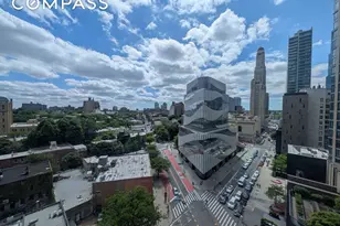 230 Ashland Pl, New York City, NY 11217 - Photo 11