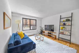 165 Clinton Ave, Brooklyn, NY 11205 - Photo 3