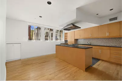 175 Pacific Street #1, New York City, NY 11201 - Photo 5