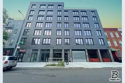17 Somers Street #4B, New York City, NY 11233 - Photo 13