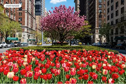 16 Park Avenue #15D, New York City, NY 10016 - Photo 13