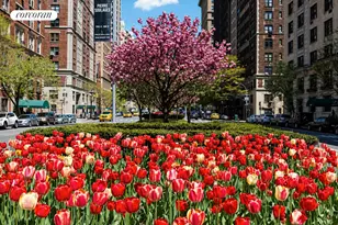 16 Park Ave, New York City, NY 10016 - Photo 13