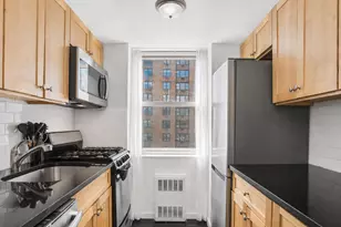 333 E 46th St, New York City, NY 10017 - Photo 3