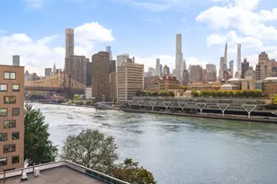 555 Main St, New York City, NY 10044 - Photo 3