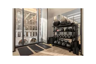 277 5th Ave, New York City, NY 10016 - Photo 23