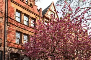 329 Convent Ave, New York City, NY 10031 - Photo 27