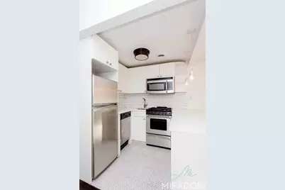 255 W 14th Street #3D, New York City, NY 10011 - Photo 3