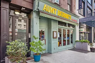 513 3rd Ave, New York, NY 10016 - Photo 17