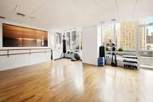 247 W 46th St, New York City, NY 10036 - Photo 11