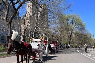30 W 61st St, New York City, NY 10023 - Photo 25