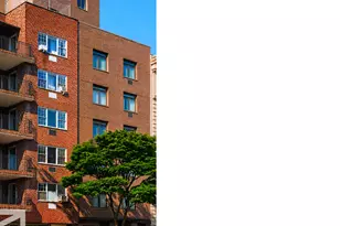 446 E 149th St, New York City, NY 10455 - Photo 1