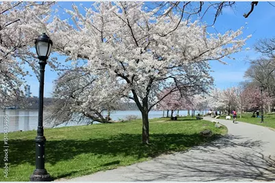 425 Riverside Drive #6J, New York City, NY 10025 - Photo 15