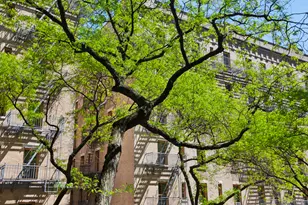 420 E 64th St, New York City, NY 10065 - Photo 11