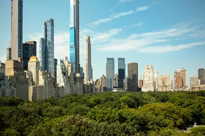 815 5th Avenue #DUPLEX, New York City, NY 10065 - Photo 13