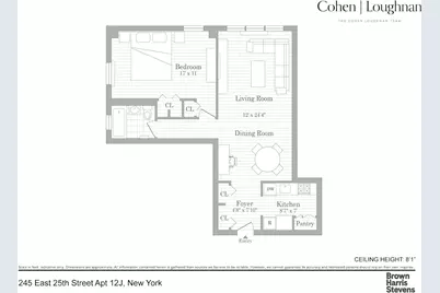 245 E 25th Street #12J, New York City, NY 10010 - Photo 19
