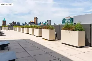 189 Schermerhorn St, New York City, NY 11201 - Photo 11