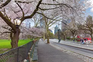 25 W 64th St, New York City, NY 10023 - Photo 7