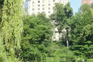 446 Central Prk W, New York City, NY 10025 - Photo 7