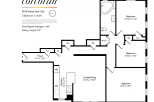 2913 Foster Ave, New York City, NY 11210 - Photo 11