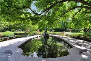 1212 5th Ave, New York City, NY 10029 - Photo 13