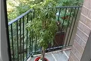 211 Thompson St, New York City, NY 10012 - Photo 5