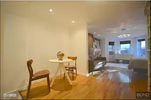 171 Washington Park, Brooklyn, NY 11205 - Photo 5