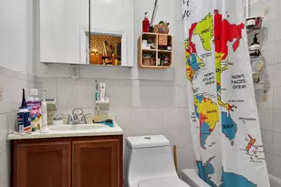 239 Buffalo Ave, New York City, NY 11213 - Photo 25