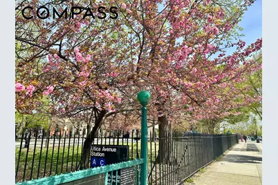 420 Lewis Avenue, New York City, NY 11233 - Photo 17