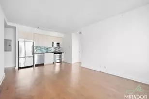 80 Dekalb Ave, New York City, NY 11201 - Photo 3