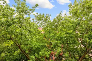 441 Convent Ave, New York City, NY 10031 - Photo 7
