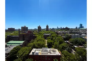 185 Hall St, New York City, NY 11205 - Photo 9