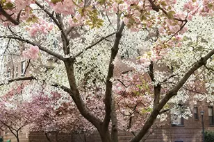 78-11 35th Ave, New York City, NY 11372 - Photo 9