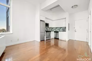 80 Dekalb Ave, New York City, NY 11201 - Photo 5