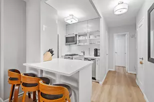 301 E 62nd St, New York City, NY 10065 - Photo 5