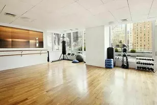 247 W 46th St, New York City, NY 10036 - Photo 15