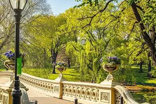 120 E 90th St, New York City, NY 10128 - Photo 9