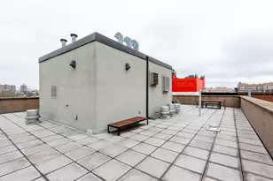 72 Steuben St, New York City, NY 11205 - Photo 19