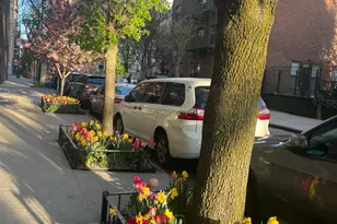 167 Perry St, New York City, NY 10014 - Photo 11