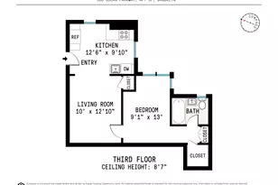 300 Ocean Pkwy, New York City, NY 11218 - Photo 7