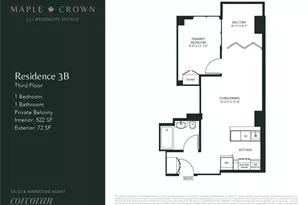 537 Brooklyn Ave, New York City, NY 11225 - Photo 11